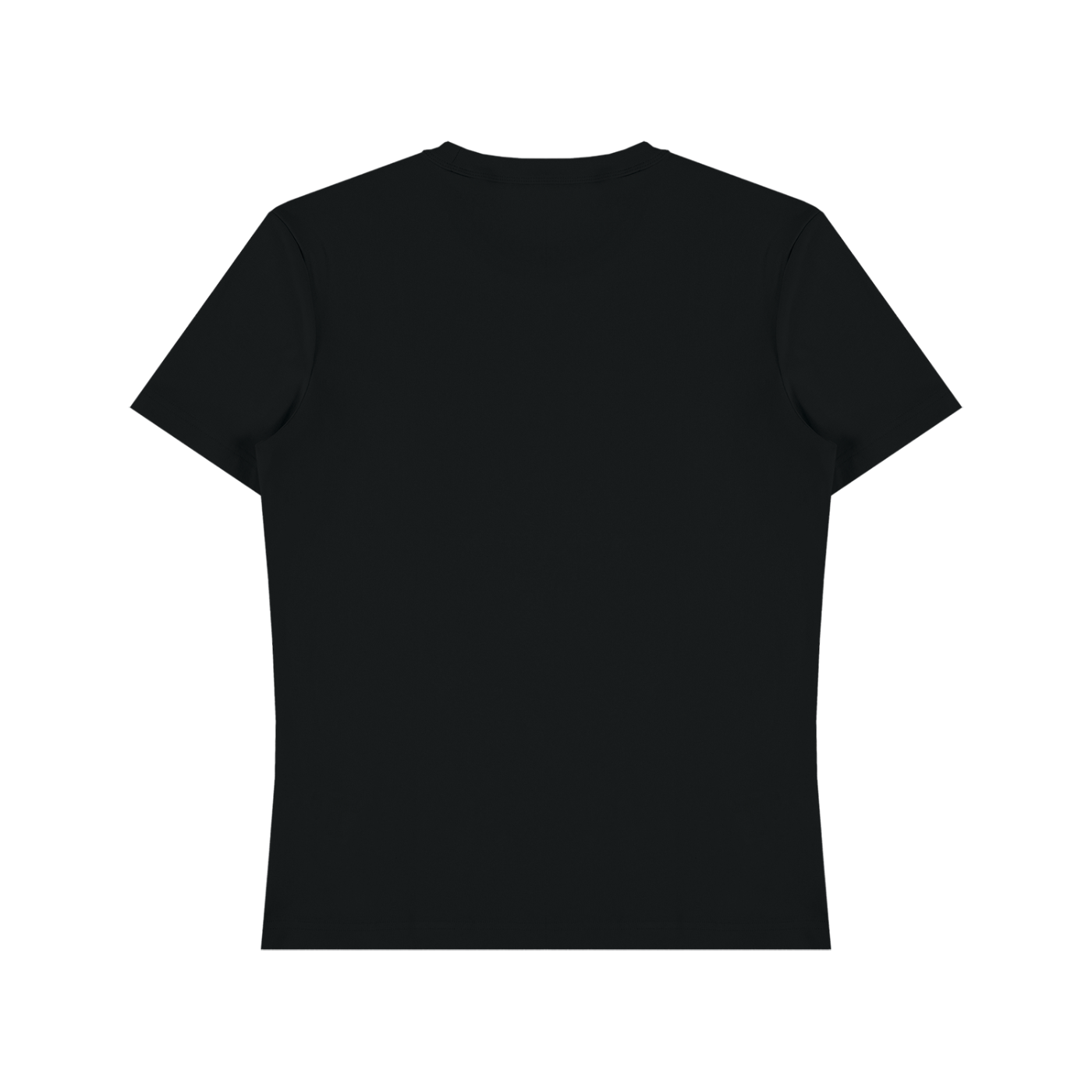 Unisex Heavyweight Cotton T-Shirt